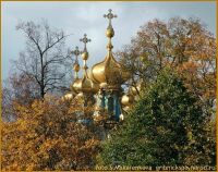 золотые купола Пушкина